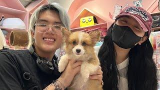 Hero Team Phong Cận - Sammy Sang Mật Pet Chọn Cún Và Cái Kết Cưng Xỉu