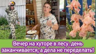 Вечер на лесном хуторе. День заканчивается, а дела нет!  Отвечаю на вопросы про учёбу сына