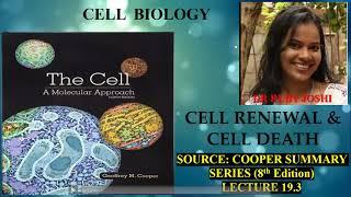 Cell Renewal and Cell Death #Chap_19_Lect_3#Cooper_Summary_Series #Medical_Application_of_Stem_Cells