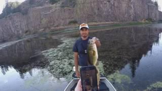 The frog bite is HOT in Washington State! (Bonnie Lake, WA)