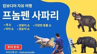 [ 캄보디아 자유 여행 ] - "프놈펜 사파리" #프놈펜시티투어 #프놈펜자유여행