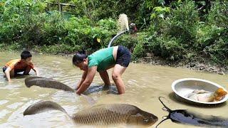 Girl and boy drain pond to harvest big fish for a living