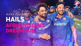 Ricky Ponting hails Afghanistan's fairytale T20 World Cup campaign