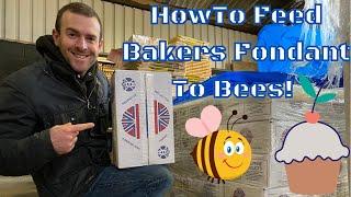 How To Feed Bakers Fondant to Honey Bees. Hints And Tips