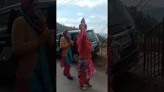 #Kalash yatra #shots #video #shimla #1st navratri