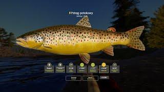 Russian Fishing 4 Brown Trout Trophy - Tunguska River