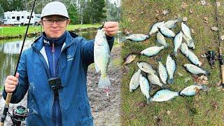 Another limit of black/white crappie 03/05/2024 | Bank fishing for Crappie  with bobber and jig