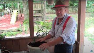 How to Grow Blueberries in a Pot or Container with Tim Berry