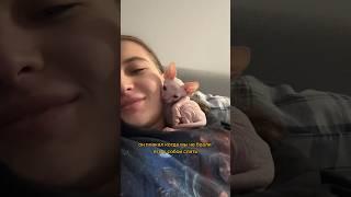 Что я узнала о сфинксах за первую неделю сожительства с Марсом 