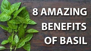 8 Health Benefits of Basil