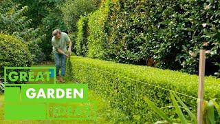 How to trim a hedge | GARDEN | Great Home Ideas