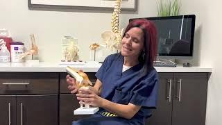 Meniscal Tears with Dr. Lucy Hostetter