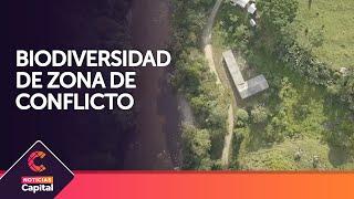 Biodiversidad de zona de conflicto es explorada