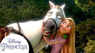 Si te ríes, pierdes | Momentos Divertidos de las Princesas de Disney | Disney Princesa