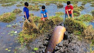 Unbelievable Boys Searching & Catching Big Shoal fish in Mud Water️Unique Hand Fishing Video