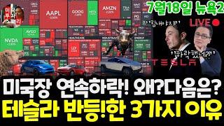 미국주식/오늘 왜 또 떨어졌나? 테슬라 엔비디아는 상승한 이유?/넷플릭스 TSM 구글 애플 아마존 메타 마이크로소프트 팔란티어 아이온큐 SMCI 델 브로드컴등 tsla #tesla