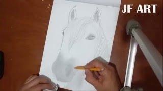 Drawing a horse | JF ART