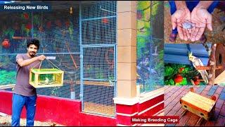 Releasing New Birds | Making Breeding Cage For Birds | Showing Our Aviary Breeding progress