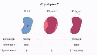 Ko Sugawara: ELEPHANT: tracking cell lineages in 3D+t by deep learning using sparse annotations