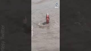 Khawaja Asif diving and swimming in canal - #shorts