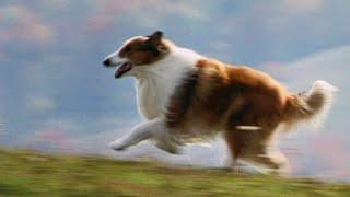 Lassie (1994) ORIGINAL TRAILER [HQ]