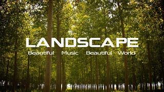 19 - The Landscape Channel - Art of Landscape - Archive Compilation