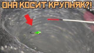 THIS TACKLE WORKED! I made TWO secrets and CAUGHT it on Zaton! Winter fishing 2024 - 2025