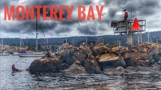 Monterey Bay Harbor tour