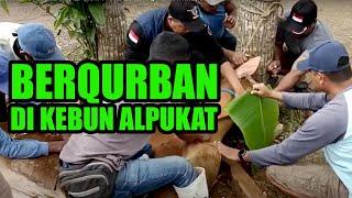 SACRIFICE AT PANJALU AVOCUTE ORDER EDIT || BILLIONAIRE FARMERS