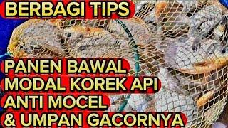 mancing bawal liar anti mocel // umpan bawal gacor // mancing rawa pening