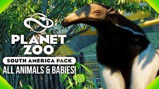 All The NEW Animals! And Their Babies! | Planet Zoo South America Pack Gameplay