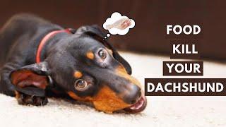 25 Foods Your Dachshund Should Never Eat