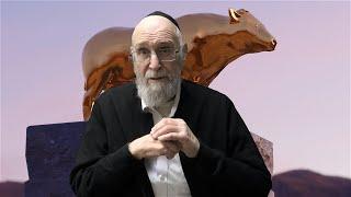 Parshat Ki Tisa with Reb Chaim Kramer