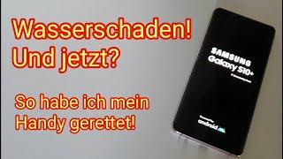 Wasserschaden am Smartphone - Handy in Pool oder Klo/Toilette gefallen - Samsung Galaxy S10 Plus