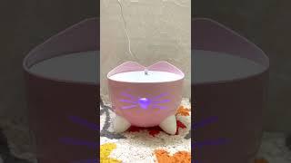 Catit Pixi Fountain unboxing  #asmr #catitindia #cat #catlover #catfilter #catshorts #catsofyoutube