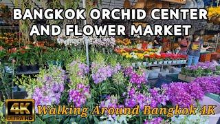 FLOWER MARKET AND ORCHID CENTER CHATUCHAK | Walking Around Bangkok Thailand 