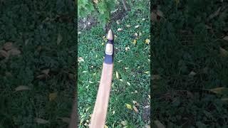 Hathor Bow. The best. Peter Nemeth Bows.