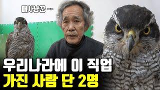 40년차 매사냥꾼 할아버지 (ft 무형문화재)