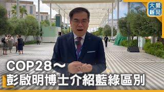 COP28～彭啟明博士介紹藍綠區別