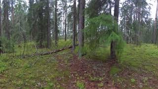 Окуловский район Новгородской области (VR)