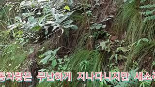 [매매완료]1. 문경 땅 약 400평 공시지가수준에 팝니다.