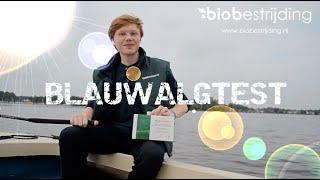 WAT IS BLAUWALG EN HOE KUN JE HET TESTEN? - #BIOBESTRIJDING