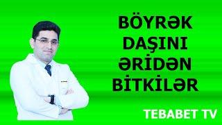 Böyrək daşını əridən bitkilər