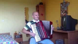 Murka- akordeon accordion by Piter