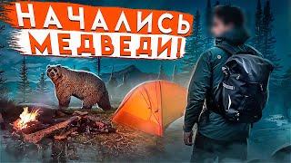 УХОЖУ ДАЛЬШЕ В ЛЕС. МЕДВЕДЕЙ ВСЁ БОЛЬШЕ. ПОХОД, АБВГАТ