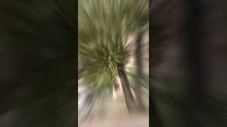 My first short vlog️ #indiagate visit #delhi #delhi #unfiltered rajat