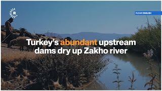 Turkeys abundant upstream dams dry up Zakho river