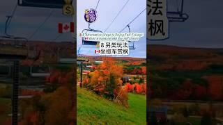 8 Alternative Ways to Enjoy Fall Foliage in Canada 8 另類玩法坐纜車賞楓 #多伦多吃喝玩乐 #多倫多 #加拿大 #旅行