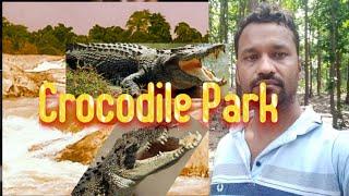 Orissa travel vlog ! Jashipur crocodile park ! Solo travel vlog ! indian travel vlog ! desi blog