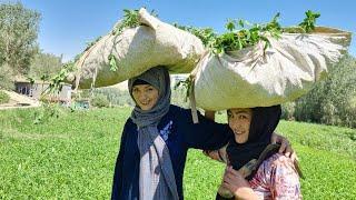 Afghanistan Country Life Vlog: How people live in Afghanistan Villages